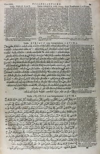 Huge Polyglot Bible leaf, 1657. 4 languages.