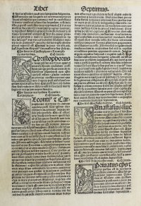 Graphic woodcuts of saints being martyred. 1514 Hagiography. Graphic woodcuts of saints being martyred. 1514 Hagiography.