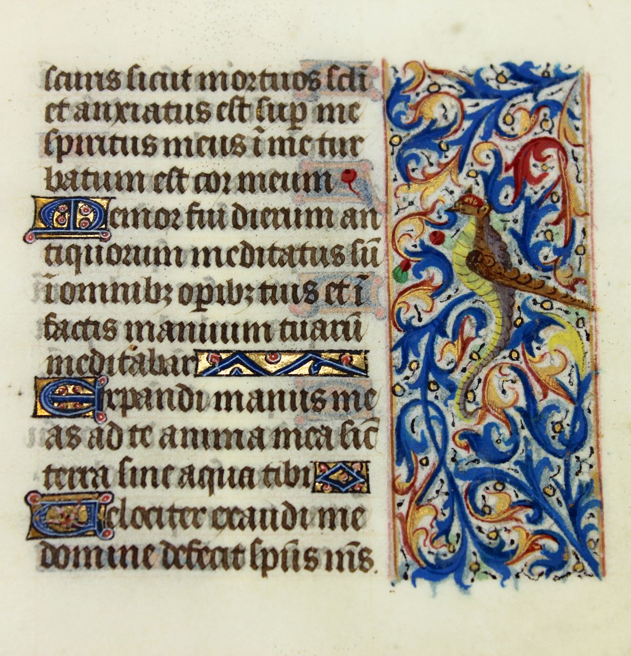 Dragon/Bird hybrid. Book of Hours leaf, 1465, France Dragon/Bird hybrid. Book of Hours leaf, 1465, France