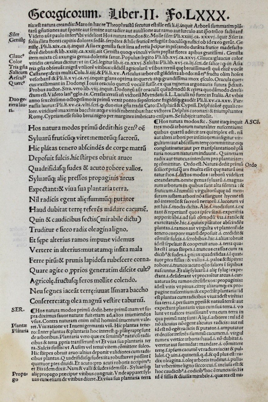 Virgil’s Georgics. Tree cultivation. Glossed post incunable leaf, 1507. Virgil’s Georgics. Tree cultivation. Glossed post incunable leaf, 1507.